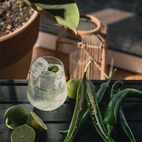 bezalkoholowy gin